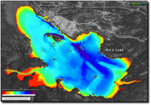 Load image into Gallery viewer, Rice Lake print map