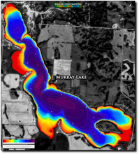 Load image into Gallery viewer, Murray Lake print map
