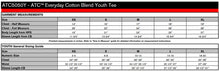 Load image into Gallery viewer, Youth T-shirt (Limited Edition)
